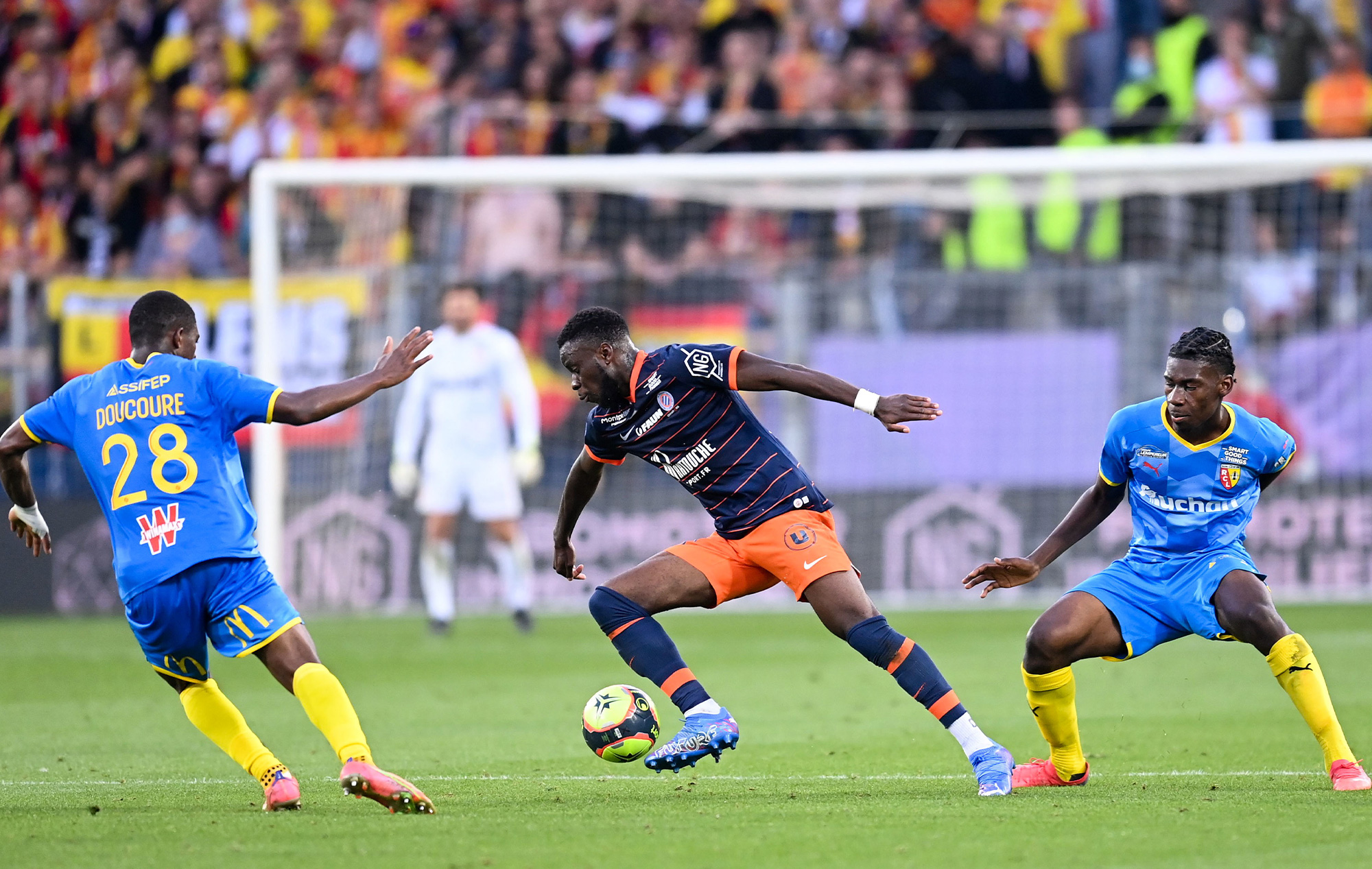 RC Lens-Montpellier Hérault SC, l'avant-match