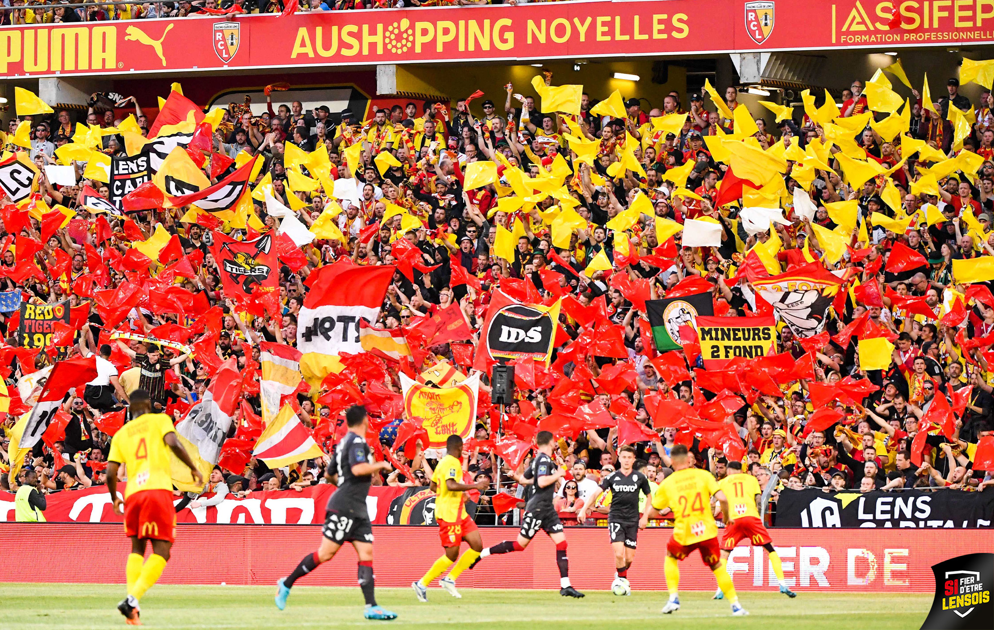 Tifo RC Lens blason during the match between RC Lens and AS Monaco FOOTBALL  : RC Lens